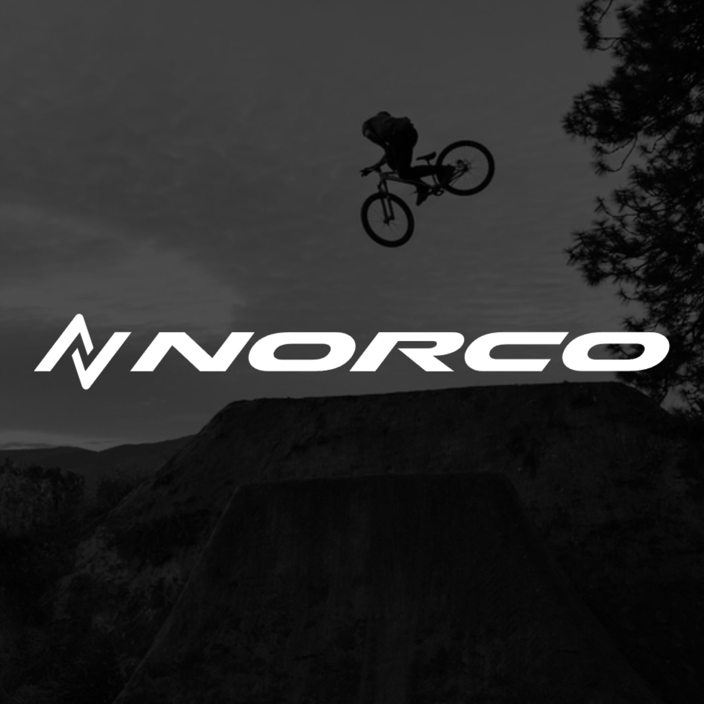 Norco bmx 2024