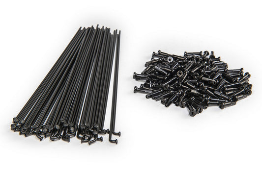 ECLAT PG Spokes & Nipples