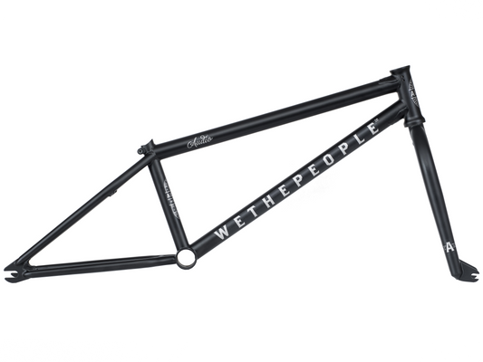 WETHEPEOPLE Audio Frame/Fork Kit