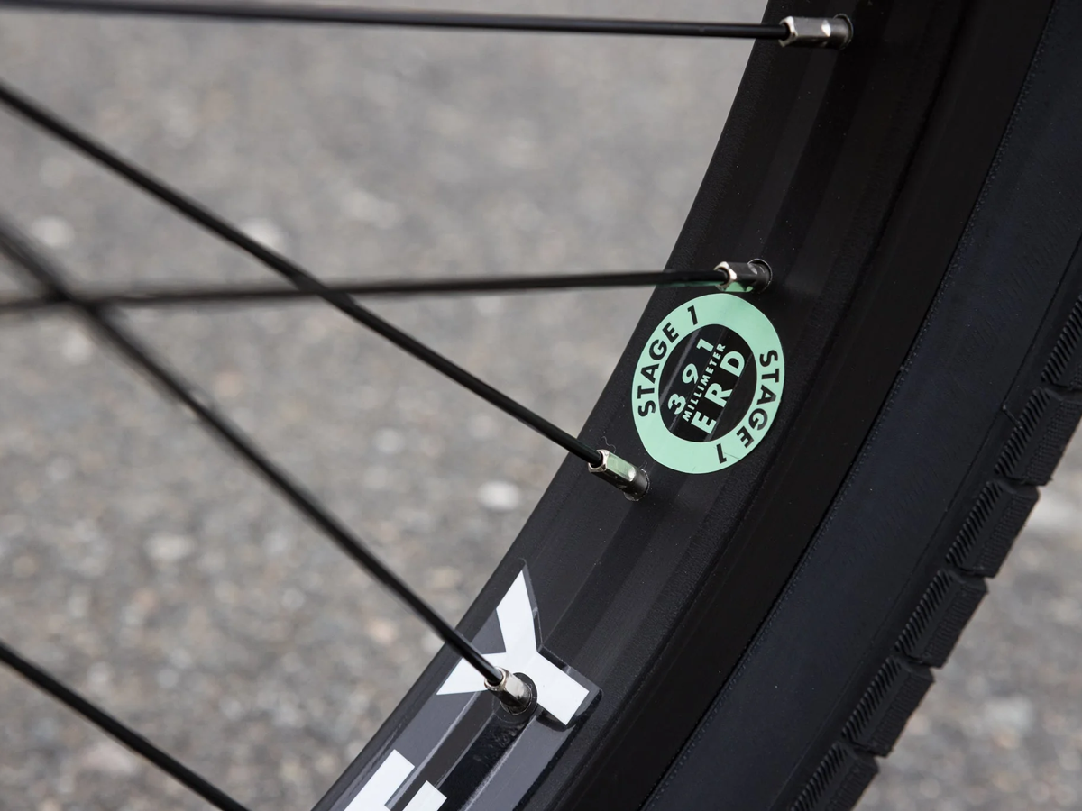 SUNDAY 20" Forecaster (Aaron Ross) Bike