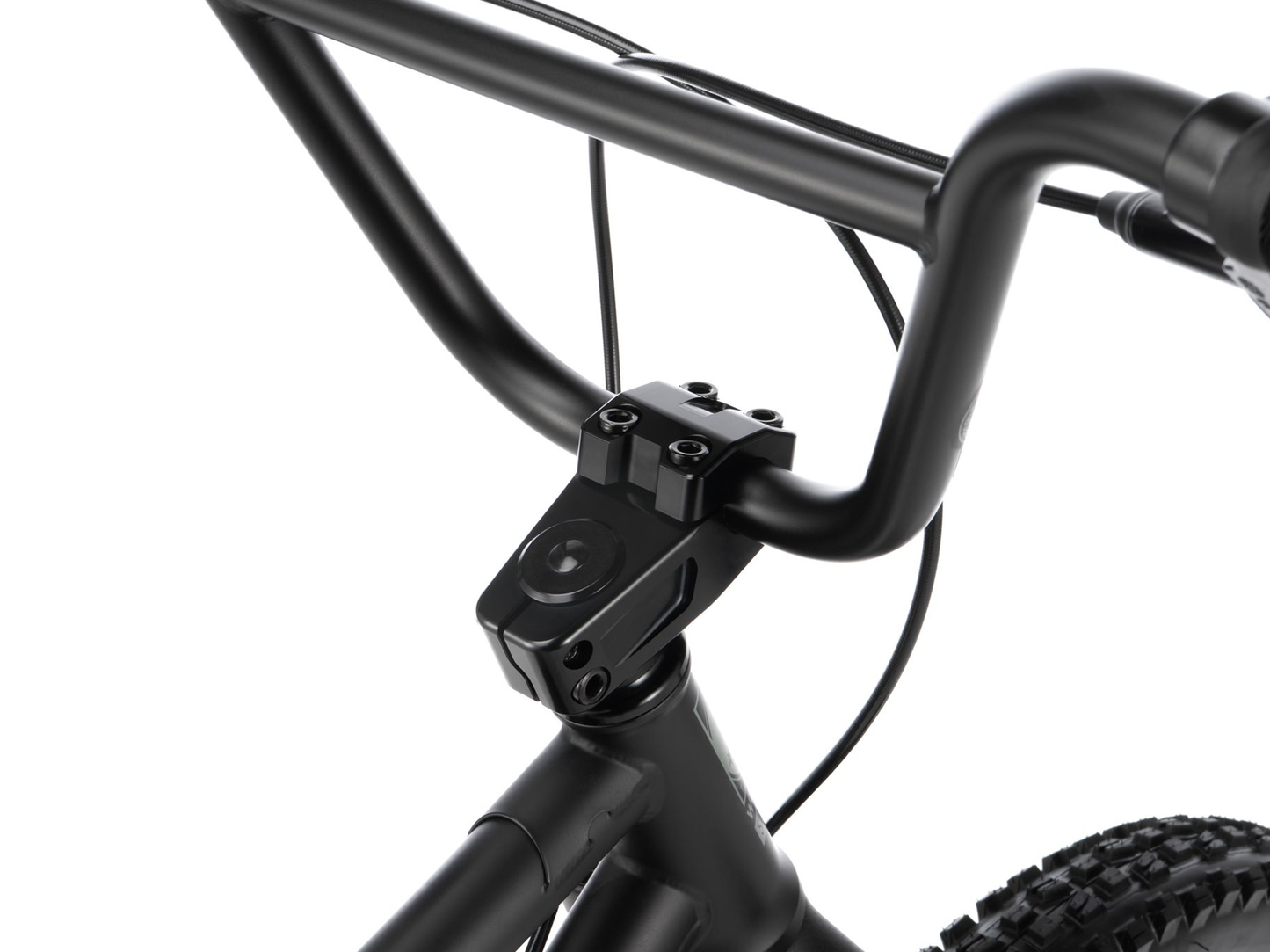WETHEPEOPLE 20" The Swampmaster Bike