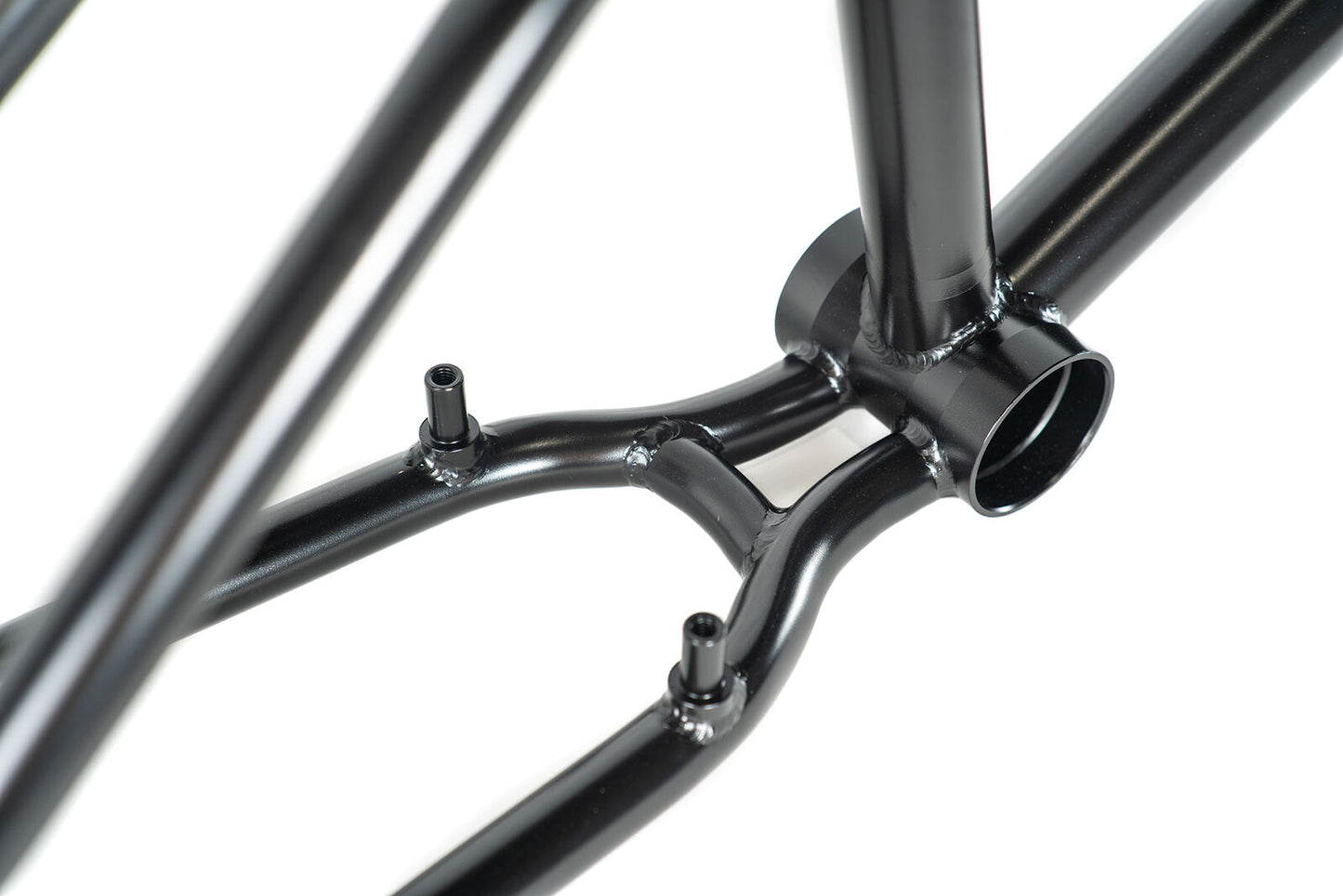 Colony Prody Frame