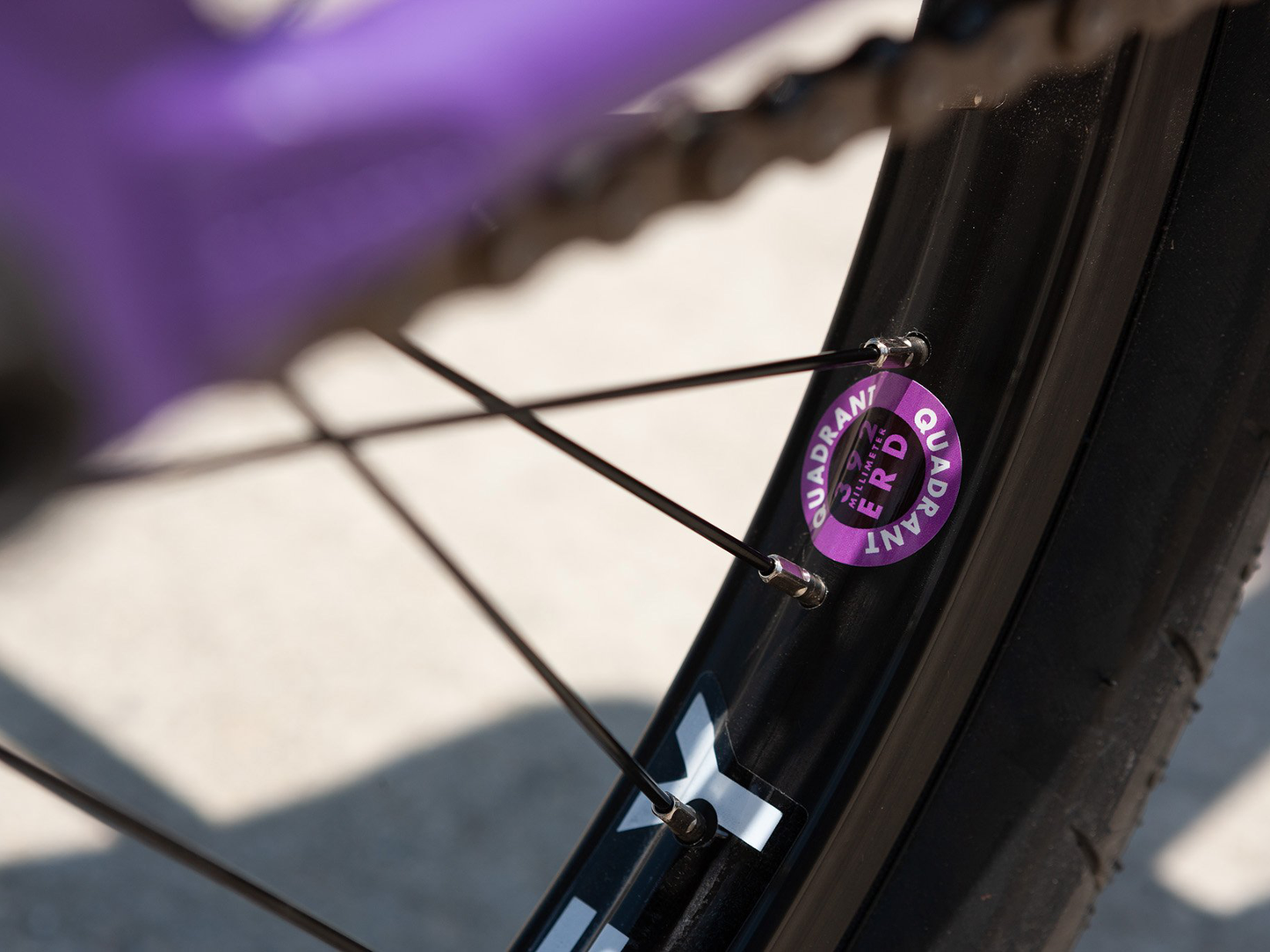 Sunday Street Sweeper (Jake Seeley) 20" Bike