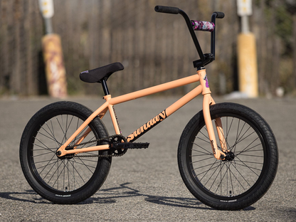 Sunday Street Sweeper (Jake Seeley) 20" Bike