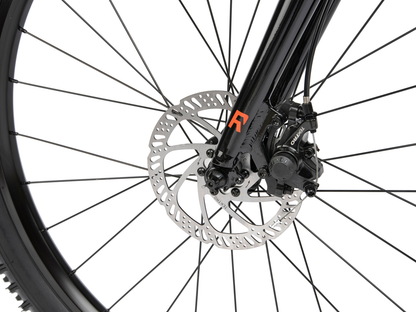 RADIO 26" Zuma Bike