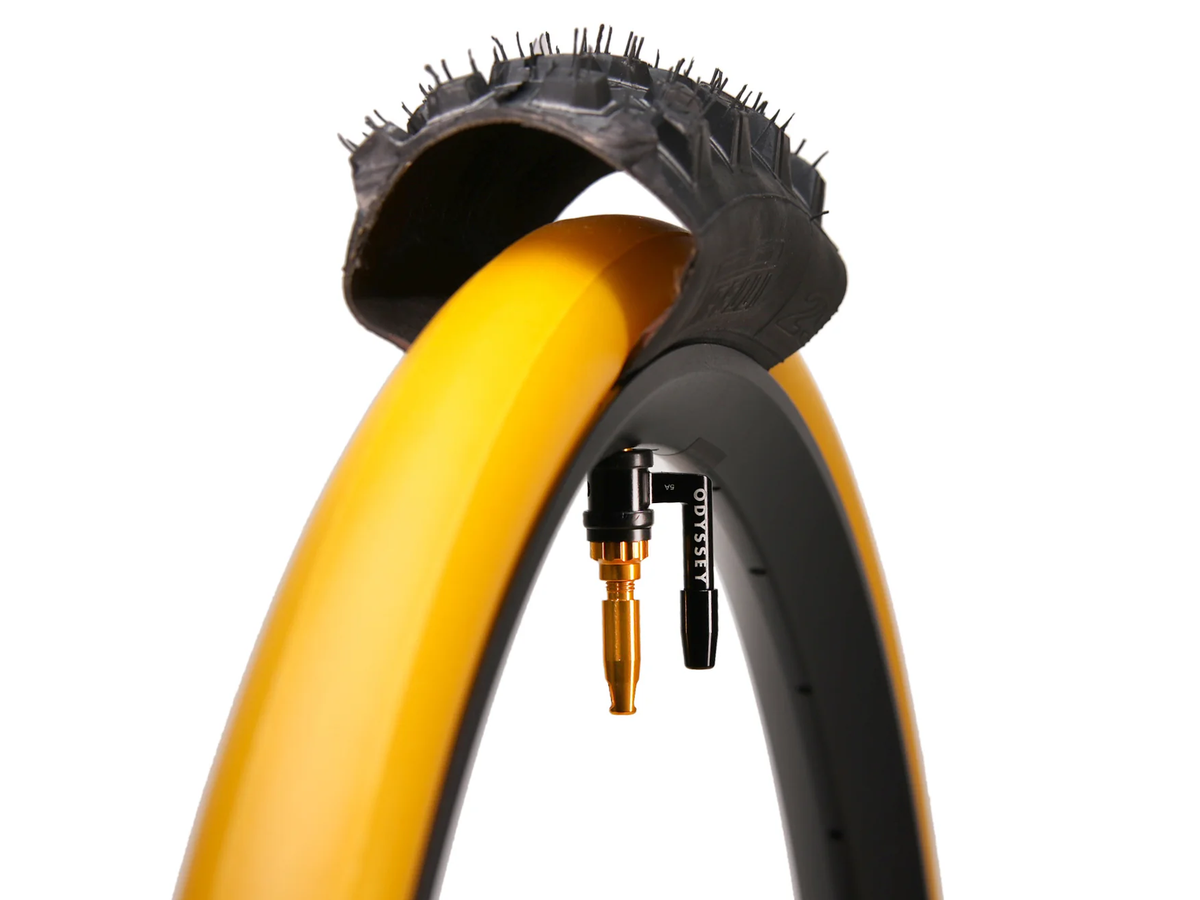 ODYSSEY OPTIS Insert With Valve P/V Tube