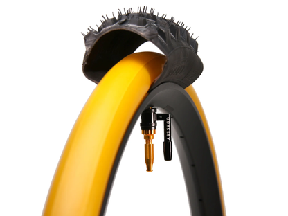 ODYSSEY OPTIS Insert With Valve P/V Tube