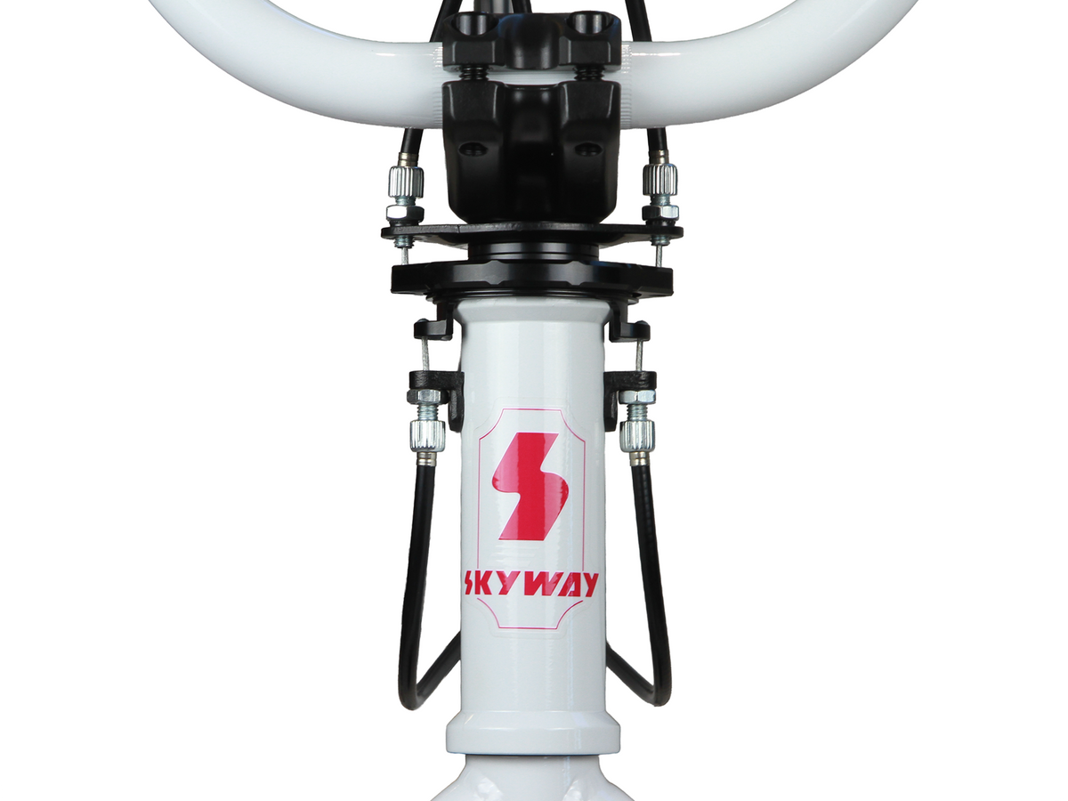 SKYWAY 20" Street Beat EX Bike