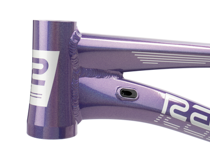 RADIO RACELINE Quartz Disc Pro Frame