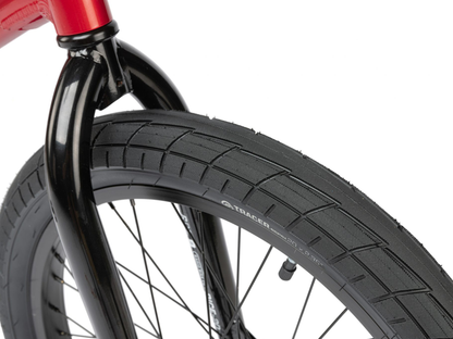 RADIO 20" Dice Bike