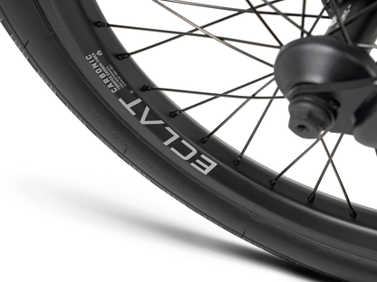 WETHEPEOPLE 20" Envy Carbonic LTD. 2025 Bike