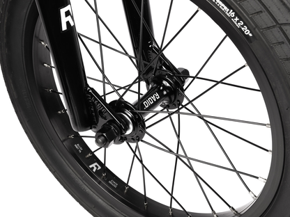 RADIO 16" Dice Bike