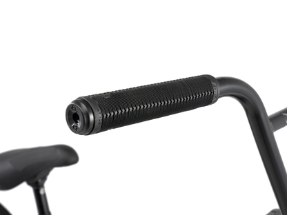 WETHEPEOPLE 20" Envy Carbonic LTD. 2025 Bike