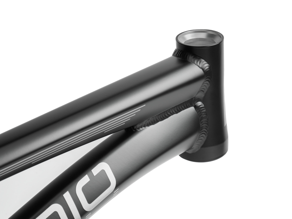 RADIO RACELINE Quartz Disc Pro Frame
