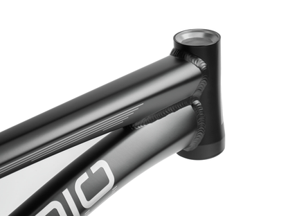 RADIO RACELINE Quartz Disc Pro Frame