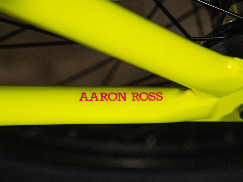 SUNDAY 20" Forecaster (Aaron Ross) Bike