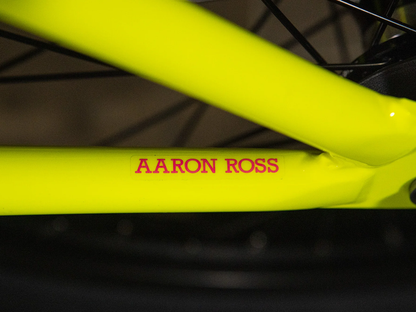 SUNDAY 20" Forecaster (Aaron Ross) Bike