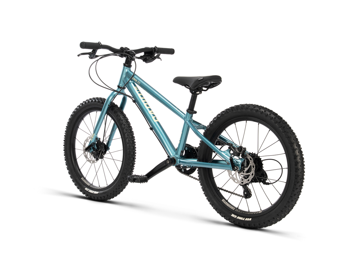 RADIO 20" Zuma Bike
