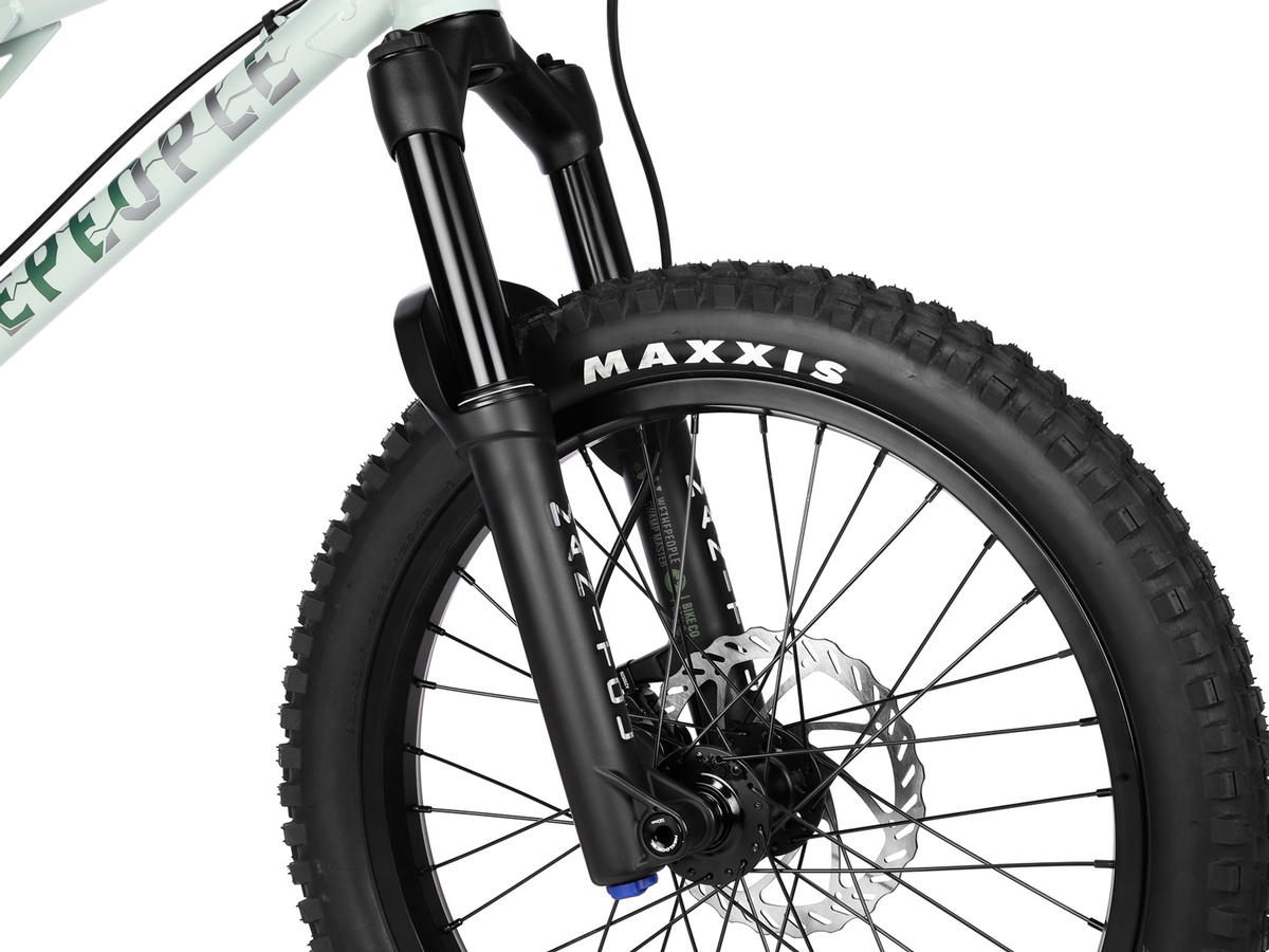 WETHEPEOPLE 20" The Swampmaster Bike