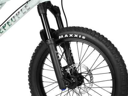 WETHEPEOPLE 20" The Swampmaster Bike