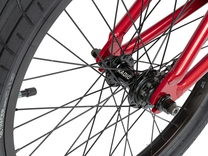 RADIO 20" Dice Bike