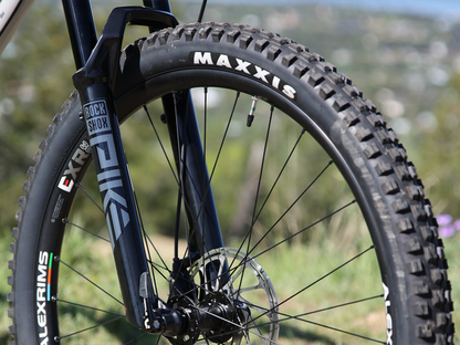 FAIRDALE 29" Elevator Bike