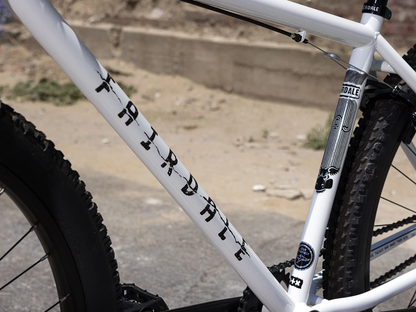 FAIRDALE Taj Bike