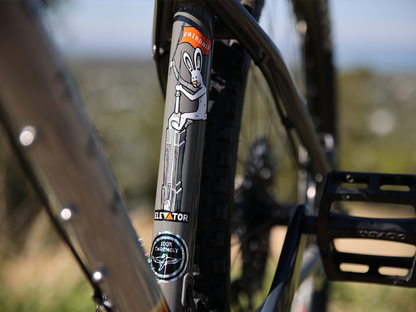 FAIRDALE 29" Elevator Bike