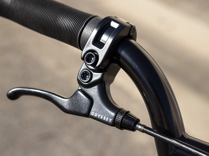 SUNDAY 20" Wavelength (Gary Young) Bike