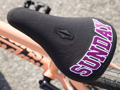 Sunday Street Sweeper (Jake Seeley) 20" Bike