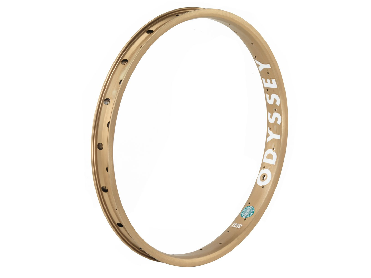 ODYSSEY Big Boyd (Boyd Hilder) 20" Rim