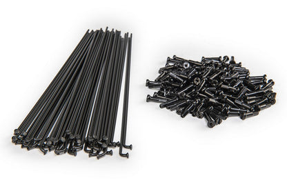 ECLAT PG Spokes & Nipples