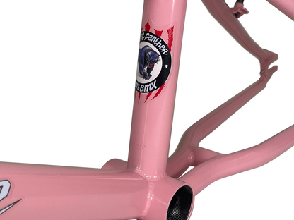 S&M Steel Panther Frame