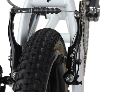 SKYWAY 20" TA 20 EX LTD Replica 2026 Bike