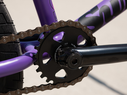 Sunday Street Sweeper (Jake Seeley) 20" Bike