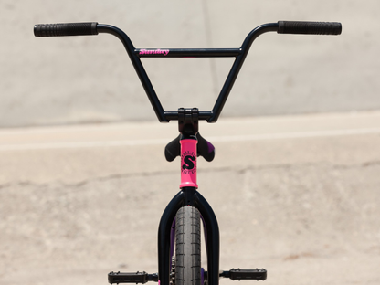 Sunday Street Sweeper (Jake Seeley) 20" Bike