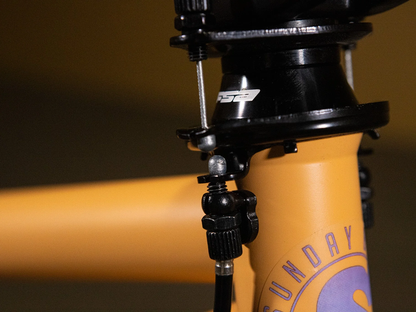 SUNDAY 20" Forecaster (Maca Grasset) Bike