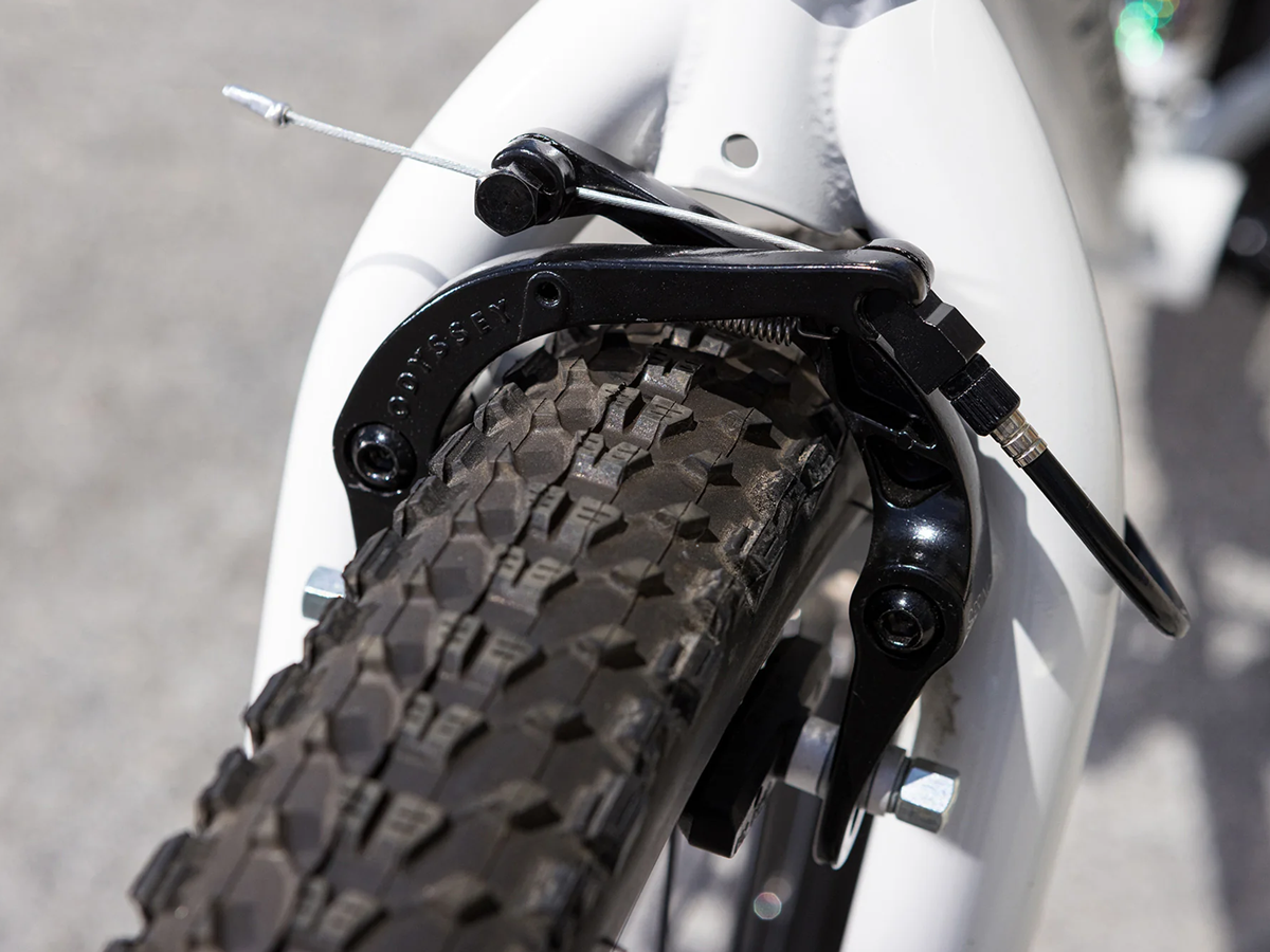 FAIRDALE Taj Bike