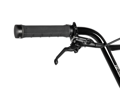 RADIO RACELINE 20" Quartz Carbonic Bike