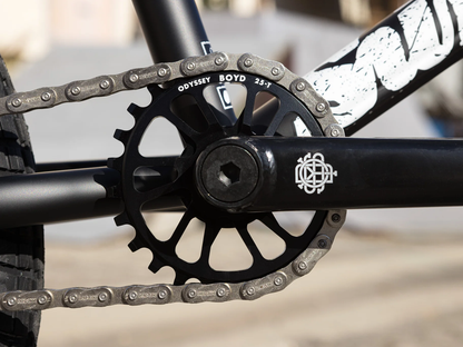 SUNDAY 20" Wavelength (Gary Young) Bike