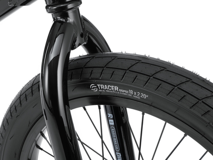 RADIO 18" Dice Bike