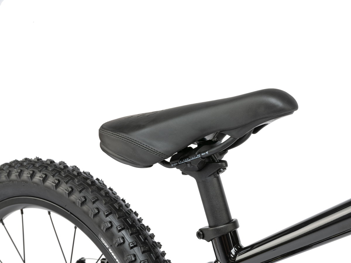 RADIO 20" Zuma Bike