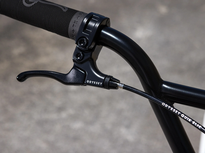 FAIRDALE Taj Bike