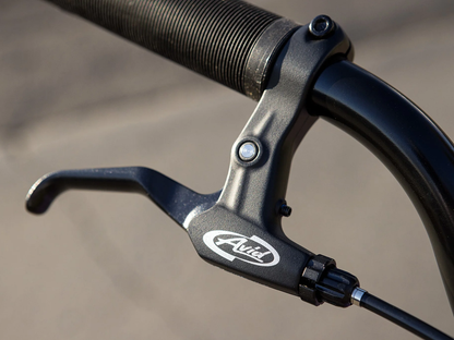 SUNDAY 29" High C Bike