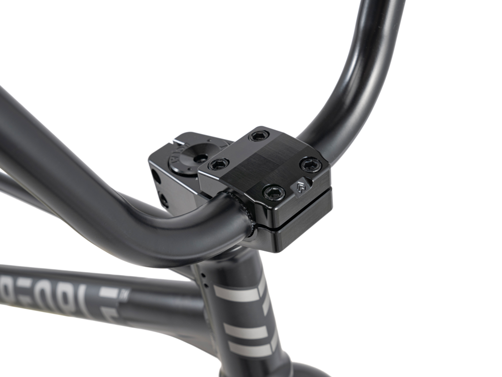 WETHEPEOPLE 20" Envy Carbonic LTD. 2025 Bike