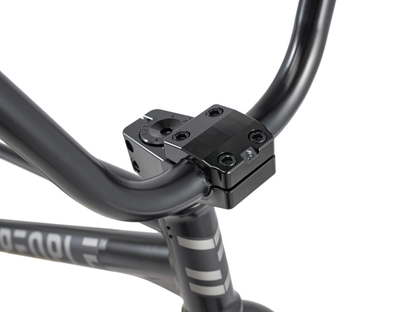WETHEPEOPLE 20" Envy Carbonic LTD. 2025 Bike