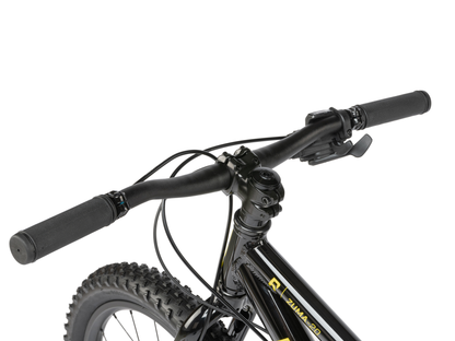 RADIO 20" Zuma Bike
