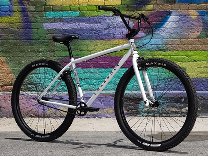 FAIRDALE Taj Bike