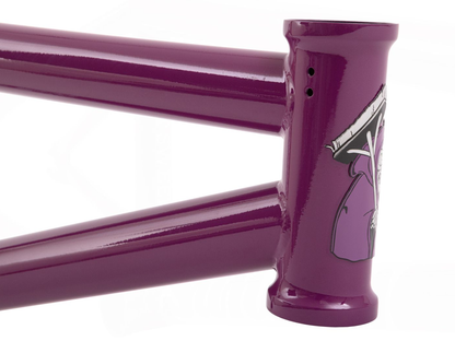 SUNDAY Street Sweeper (Jake Seeley) Frame