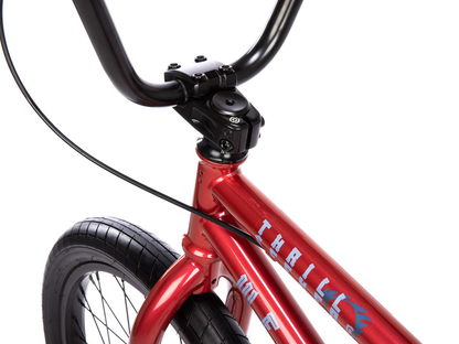 WETHEPEOPLE 20" Thrillseeker Bike
